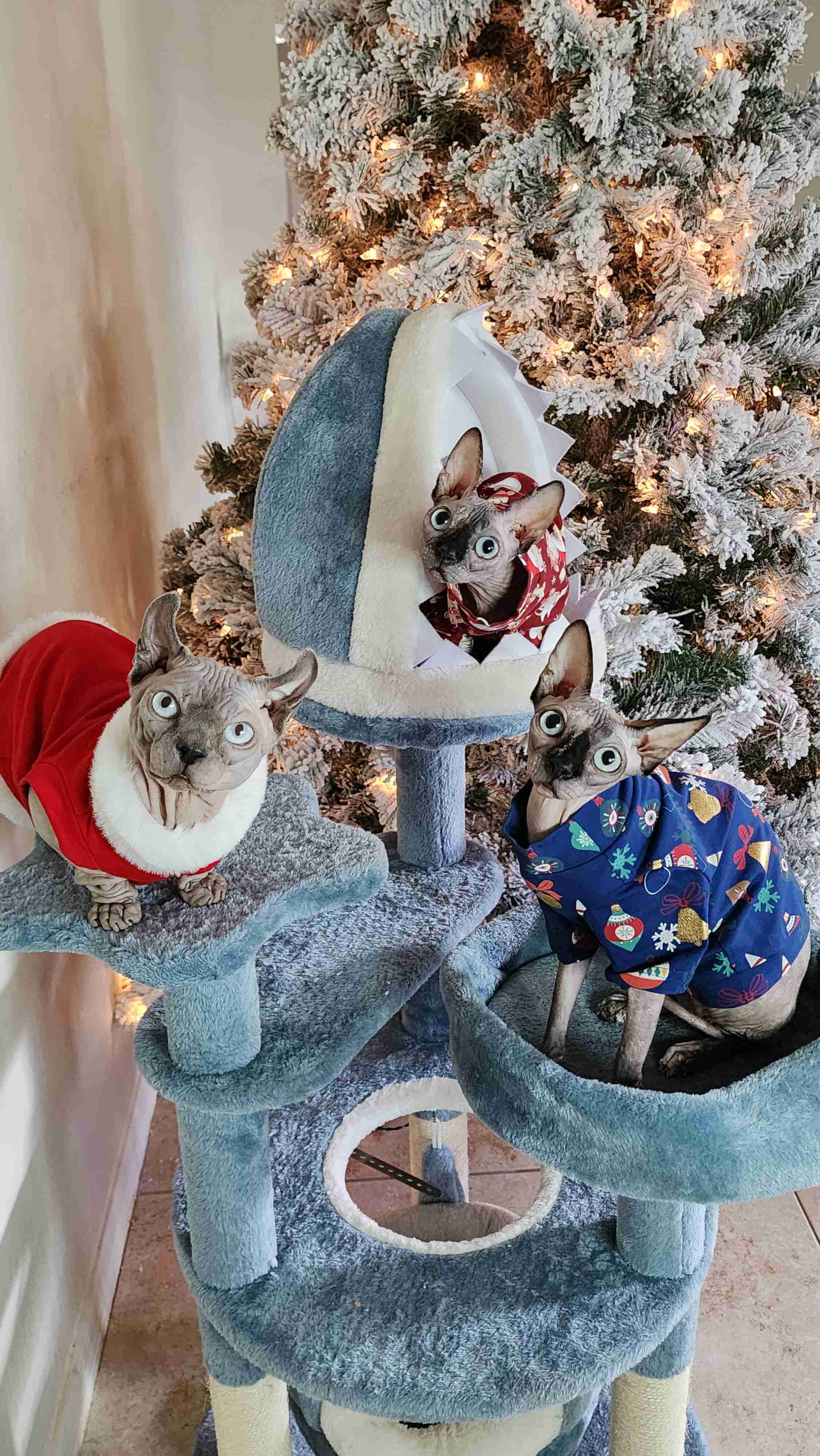 Yaheetech 45.5in Ocean-Themed Cat Tree Multi-Level Cat Tower - Image 7