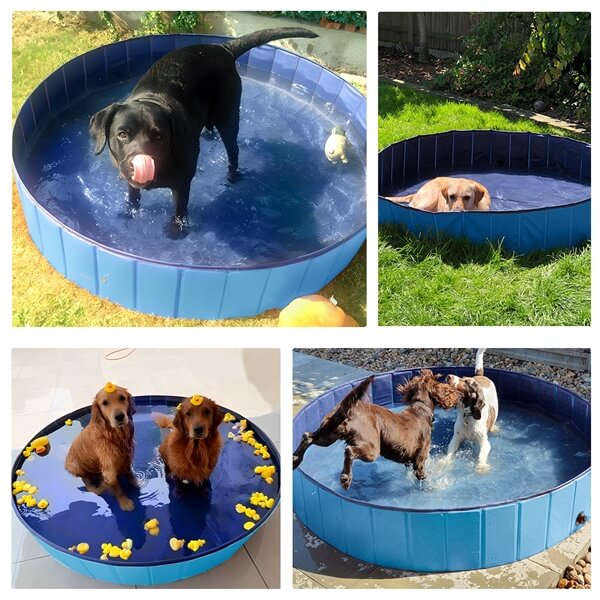 Yaheetech Collapsible Dog Pet Pools - Image 14